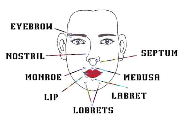 Facial Piercings Diagram 89